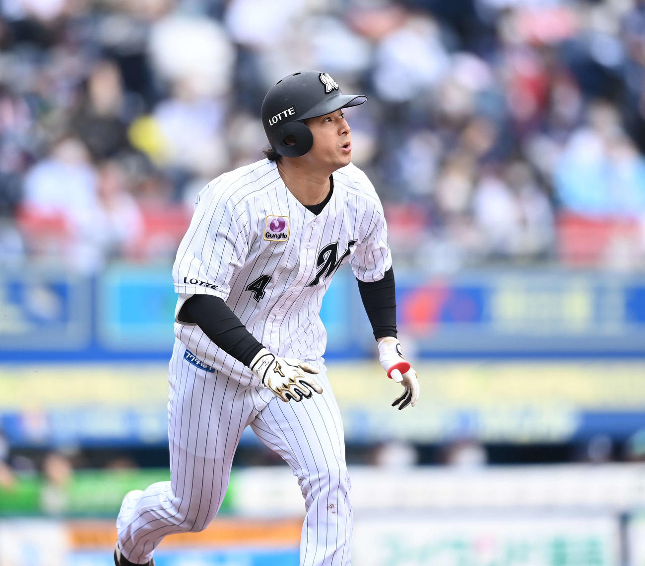 ロッテ藤岡（11月8日撮影）