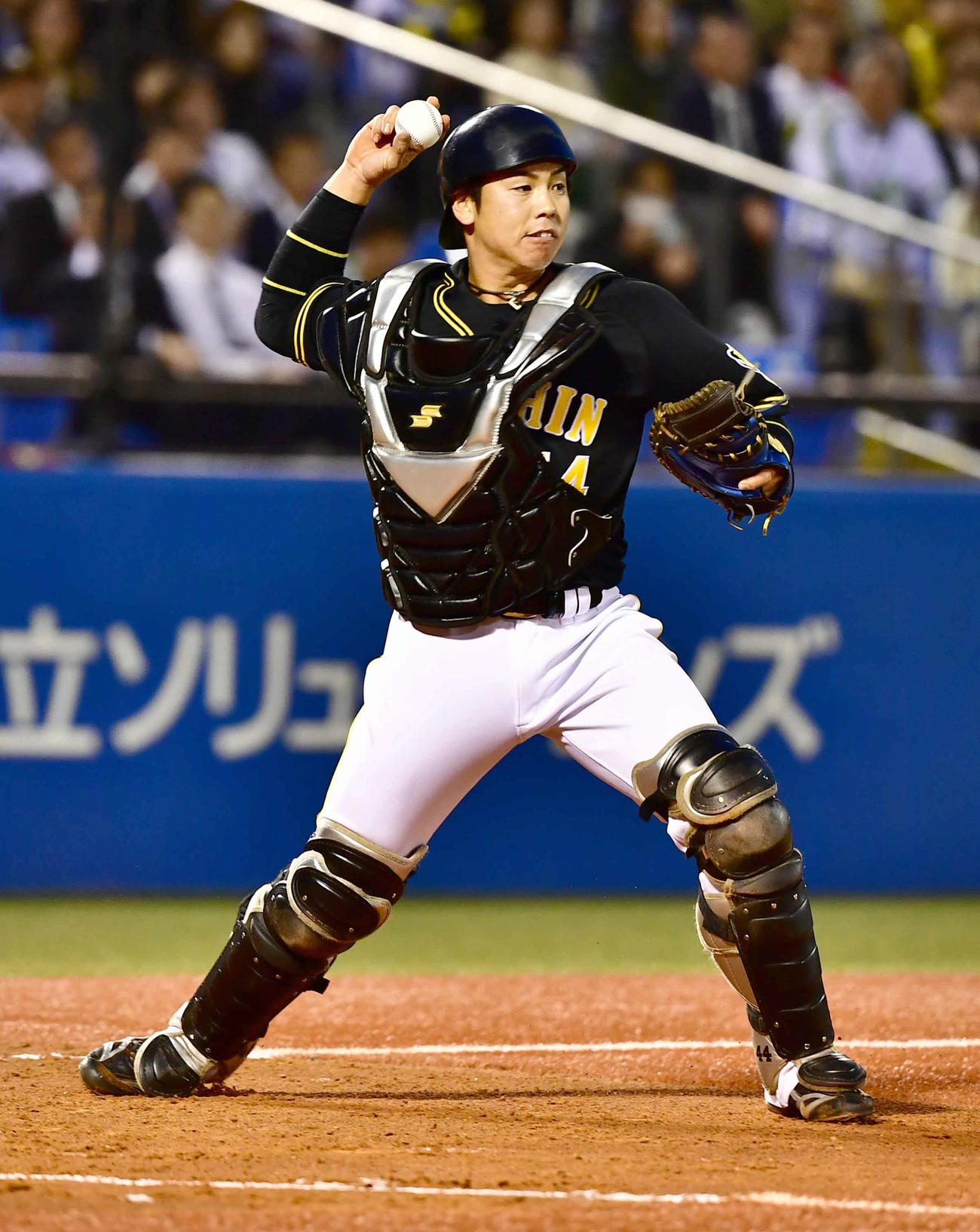 阪神梅野隆太郎