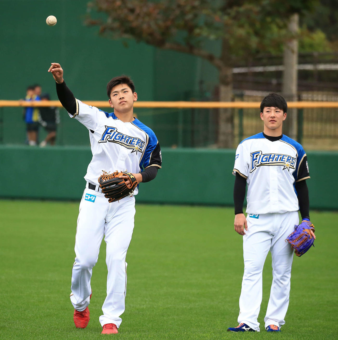 日本ハム野村佑希（左）と吉田輝星（2019年2月10日）