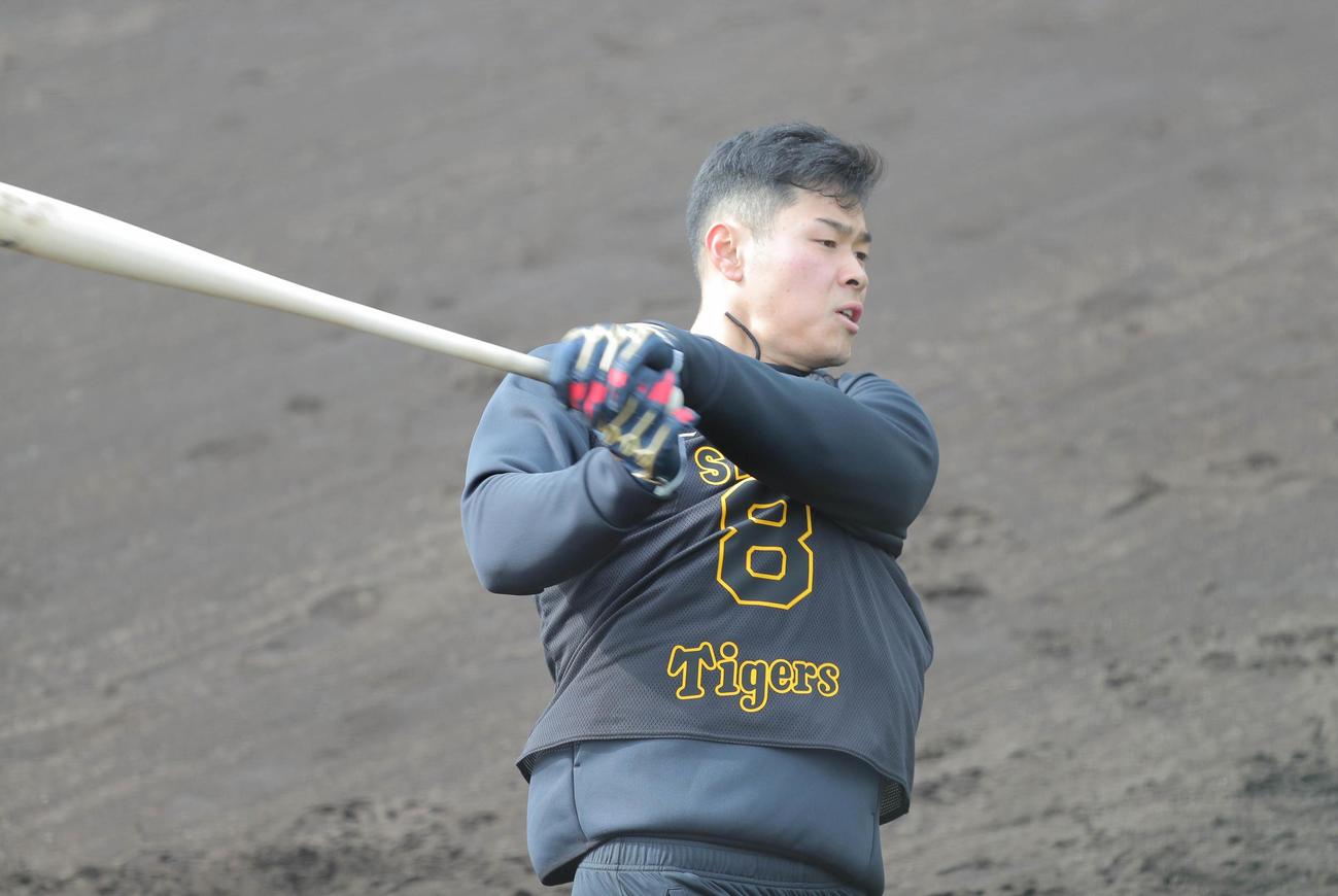 ティー打撃をする佐藤輝（代表撮影）