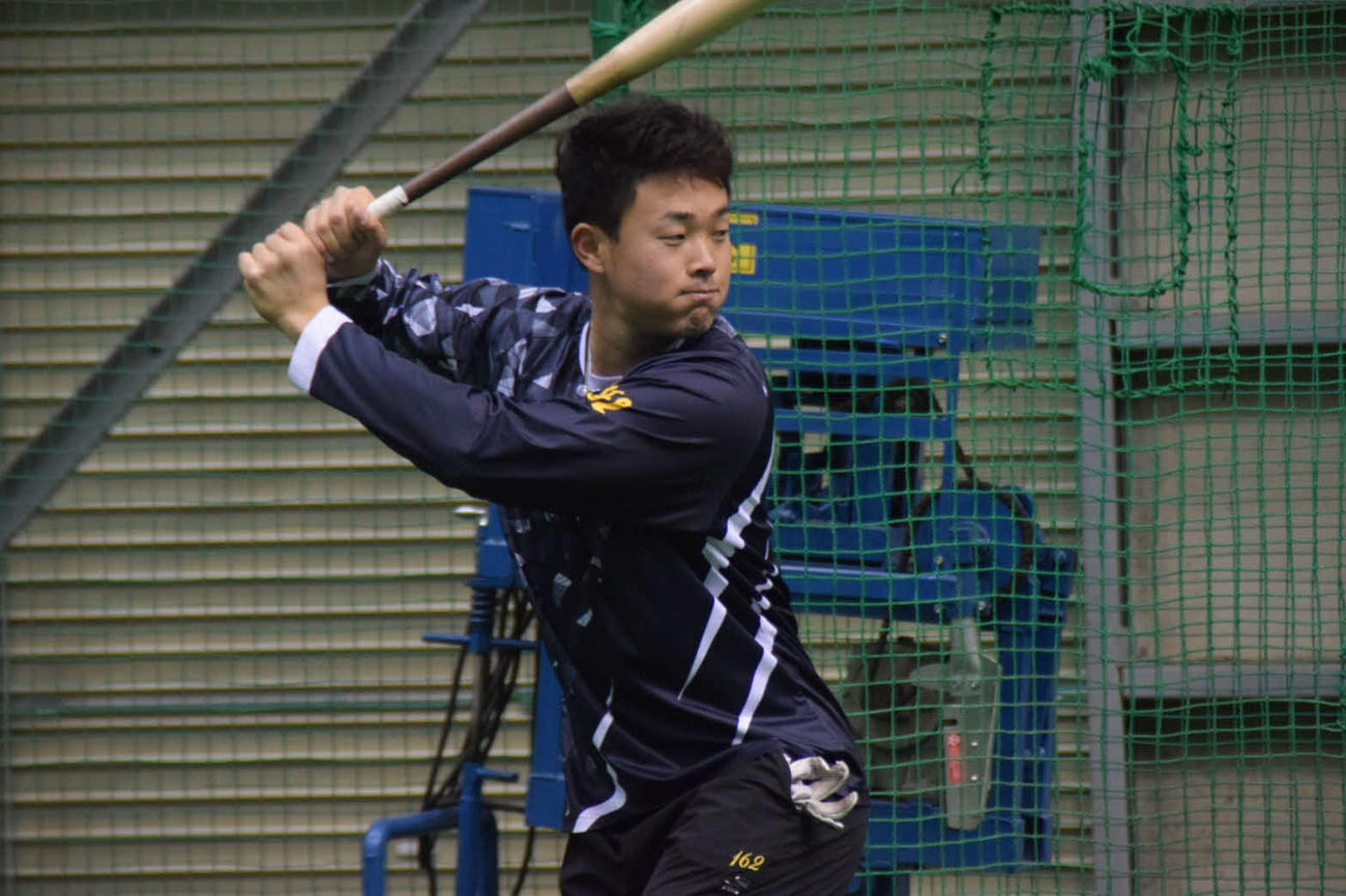 打撃練習を行う日本ハム高浜（球団提供）