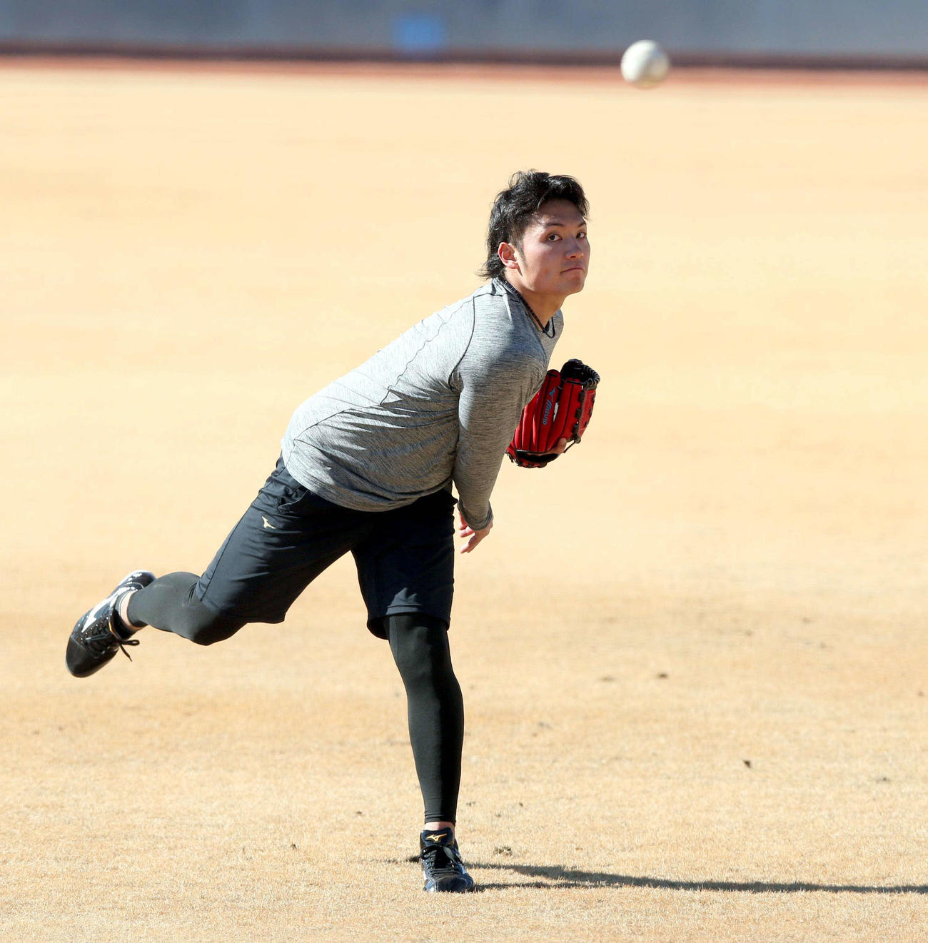 キャッチボールする日本ハム伊藤（撮影・黒川智章）