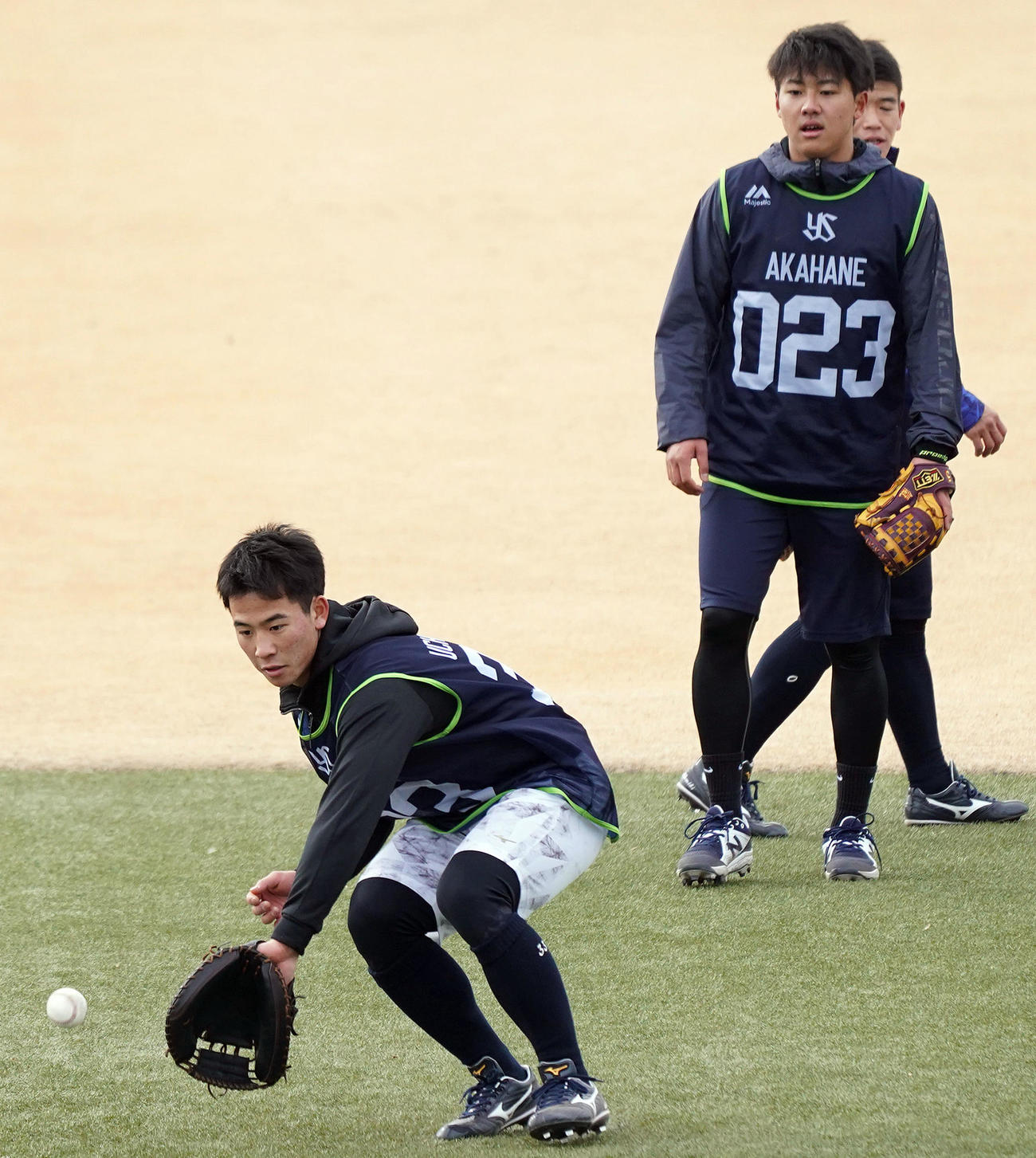 11日、新人合同自主トレでノックを受けるヤクルト内山（手前）。後方は育成2位赤羽（代表撮影）