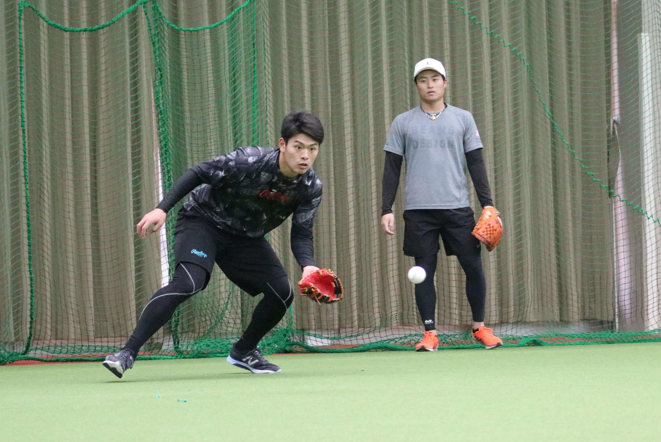 室内練習場でノックを受ける日本ハム野村（左）（球団提供）