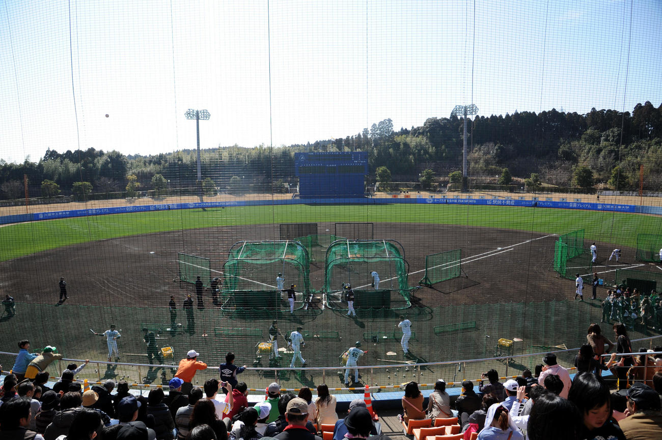 ソフトバンクのキャンプ地アイビースタジアム