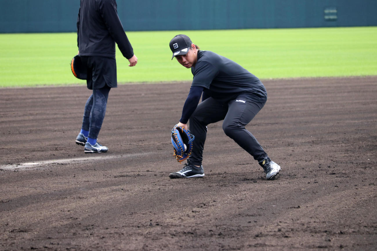 自主トレでノックを受ける梅野隆太郎（代表撮影）