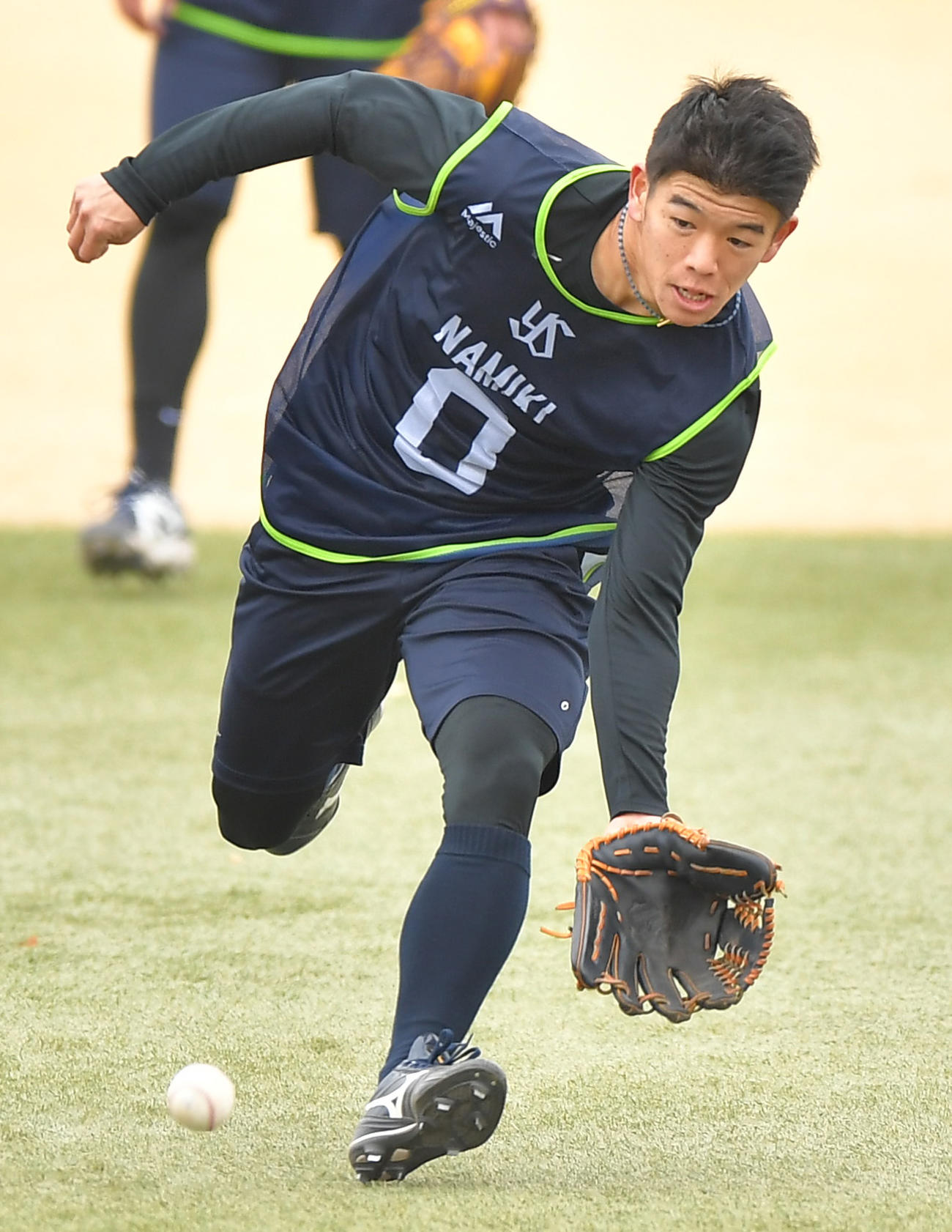 新人合同自主トレでノックをうけるヤクルト並木（代表撮影）