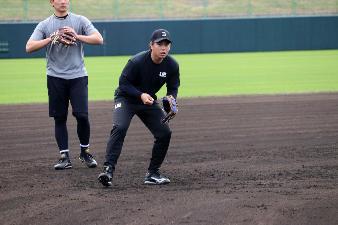 自主トレでノックを受ける梅野隆太郎（代表撮影）