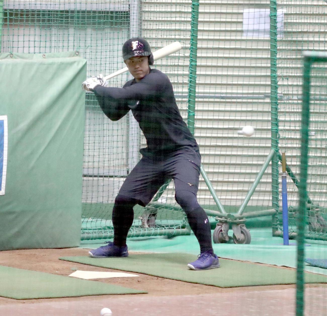 フリー打撃でボールの軌道を見つめる日本ハム今川（撮影・黒川智章）