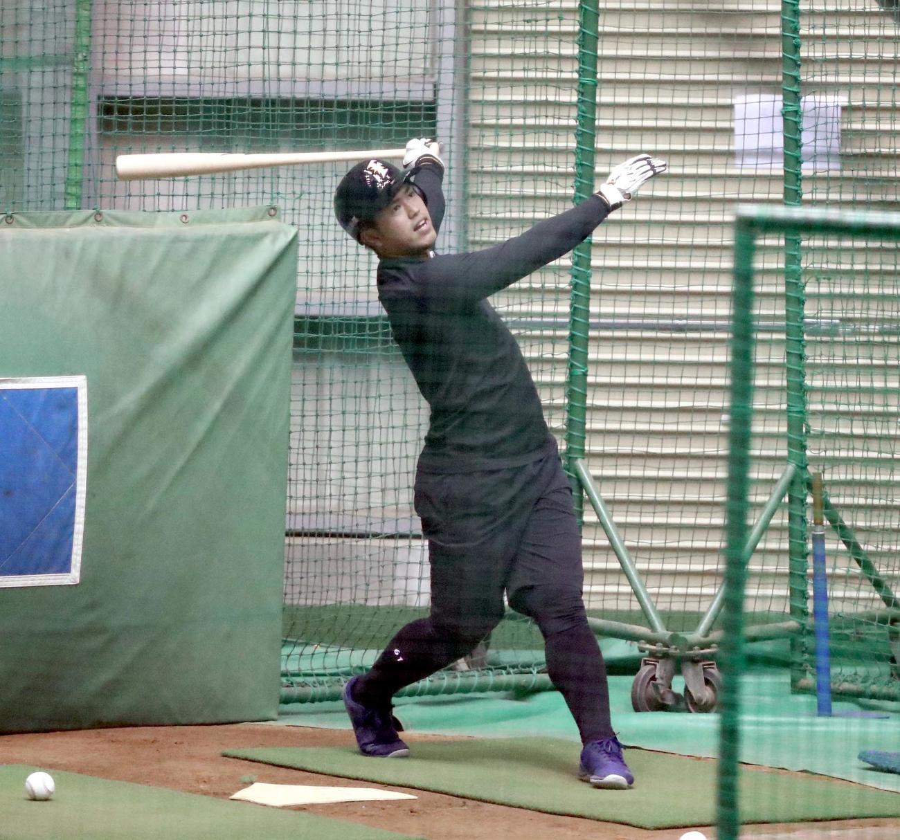 フリー打撃する日本ハム今川（撮影・黒川智章）