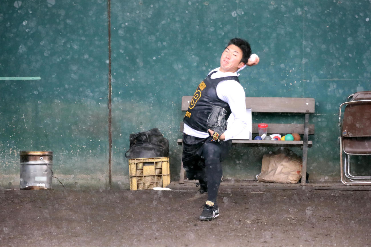 初ブルペン入りし投球練習を行う阪神石井大智（球団提供）