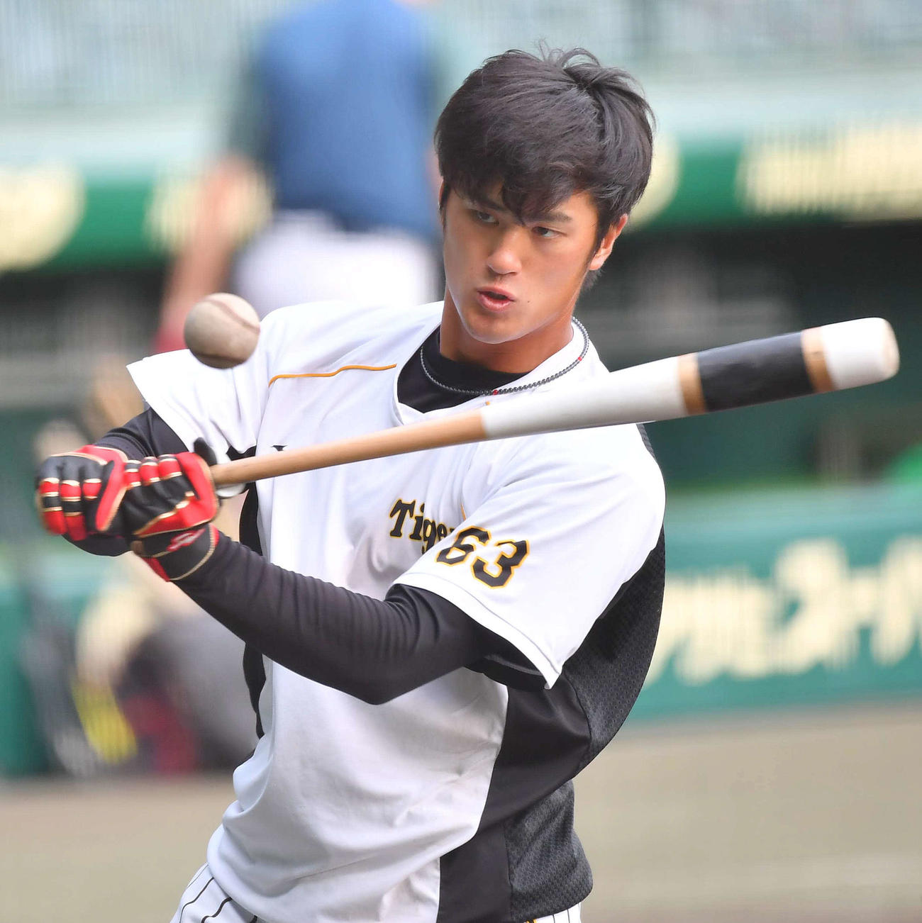 阪神板山祐太郎（2020年10月16日撮影）