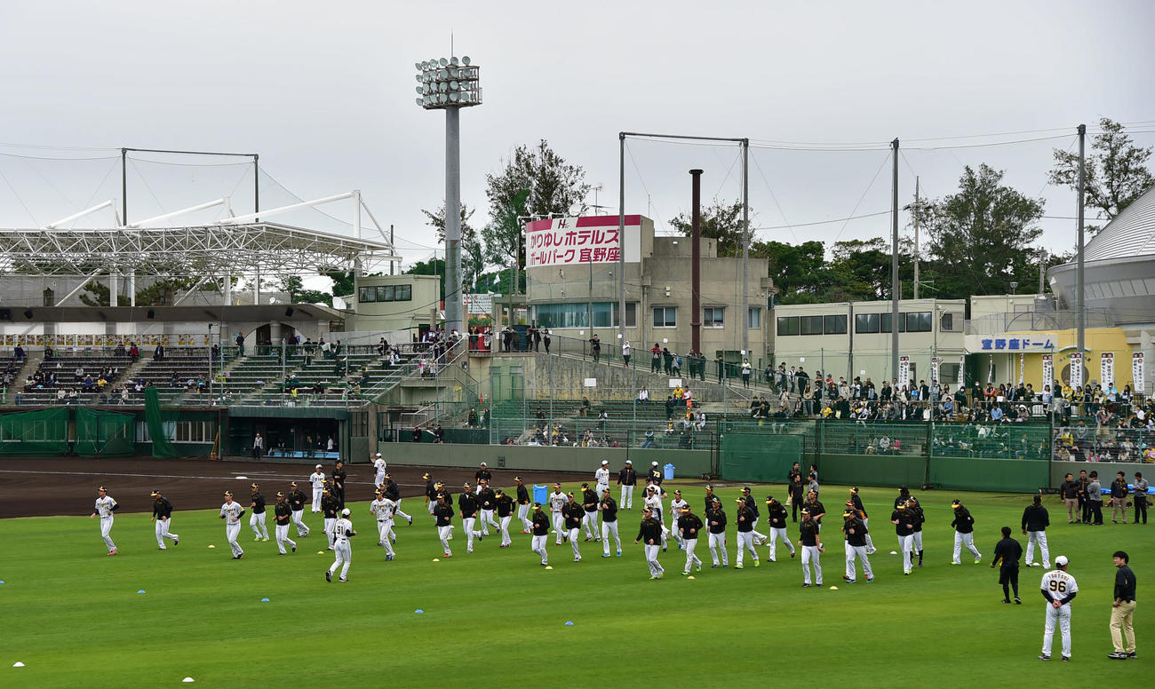 沖縄の宜野座で春季キャンプを行う阪神の選手たち（2019年2月12日撮影）