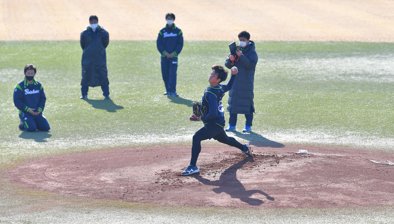 新人合同自主トレでマウンドから投球練習をするヤクルト木沢（代表撮影）