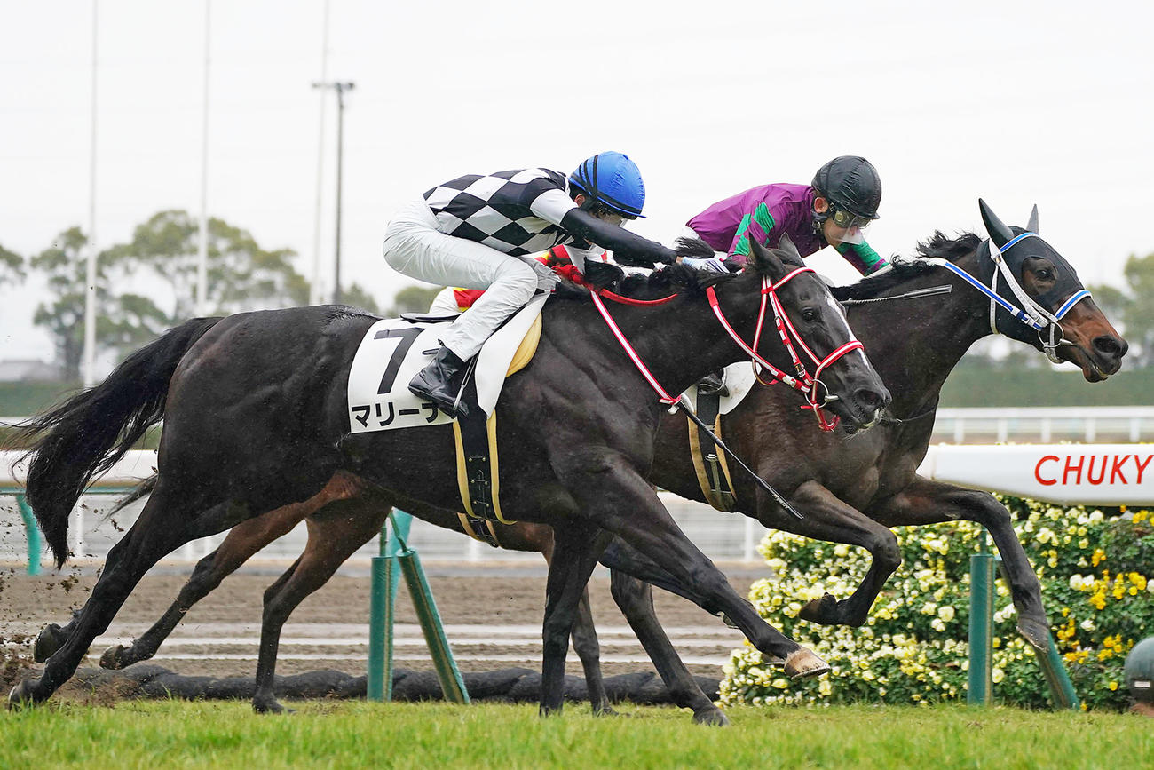 24日、中京5R未勝利戦を制した三浦監督所有のマリーナ