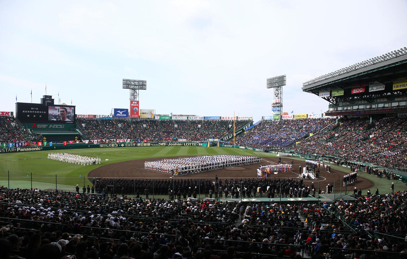 19年3月23日、センバツ開会式の様子