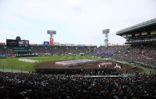 昨夏中止の甲子園 連続出場などは注釈付き扱いに プロ野球写真ニュース 日刊スポーツ