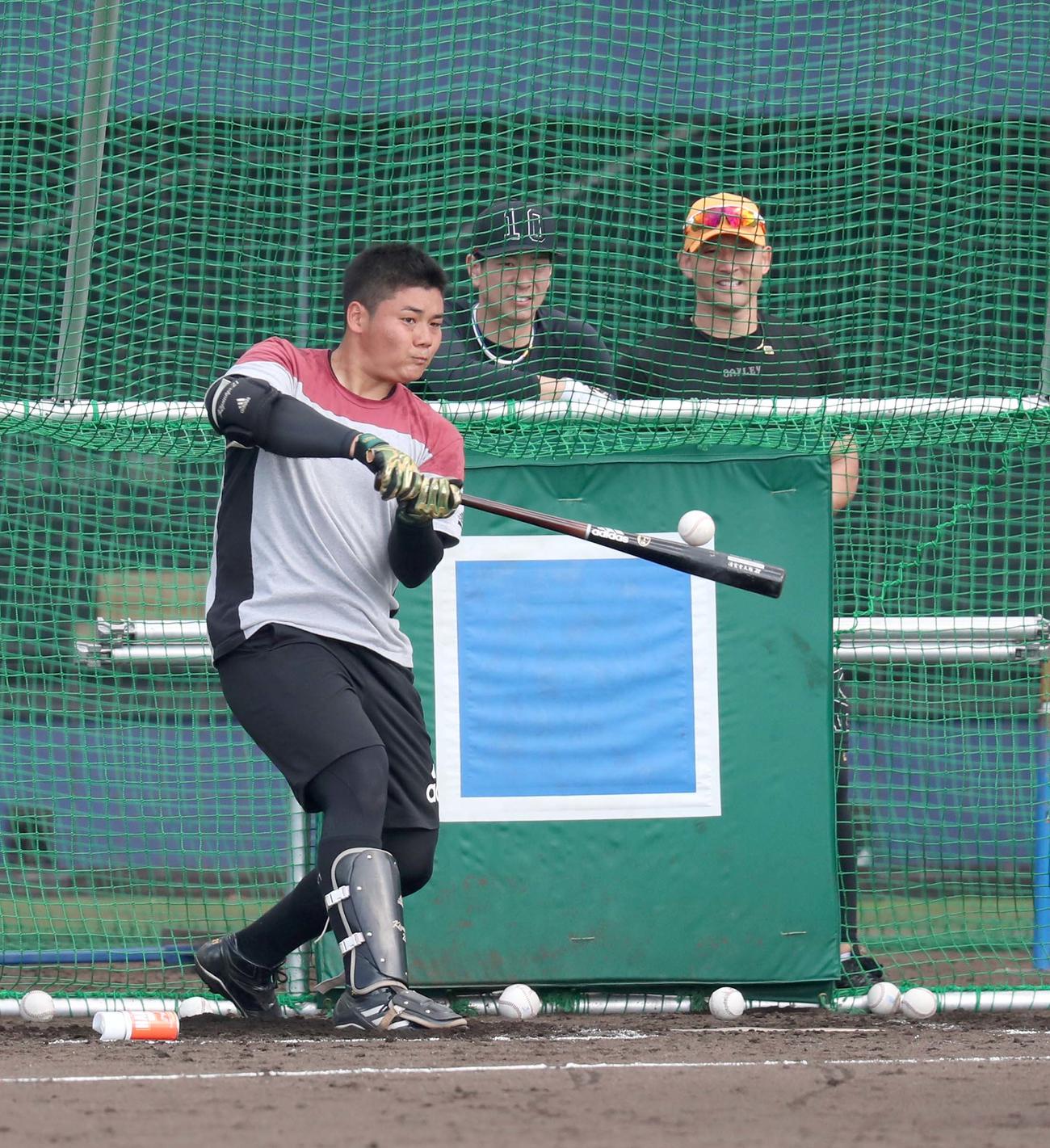 打撃練習をする日本ハム清宮（撮影・佐藤翔太）