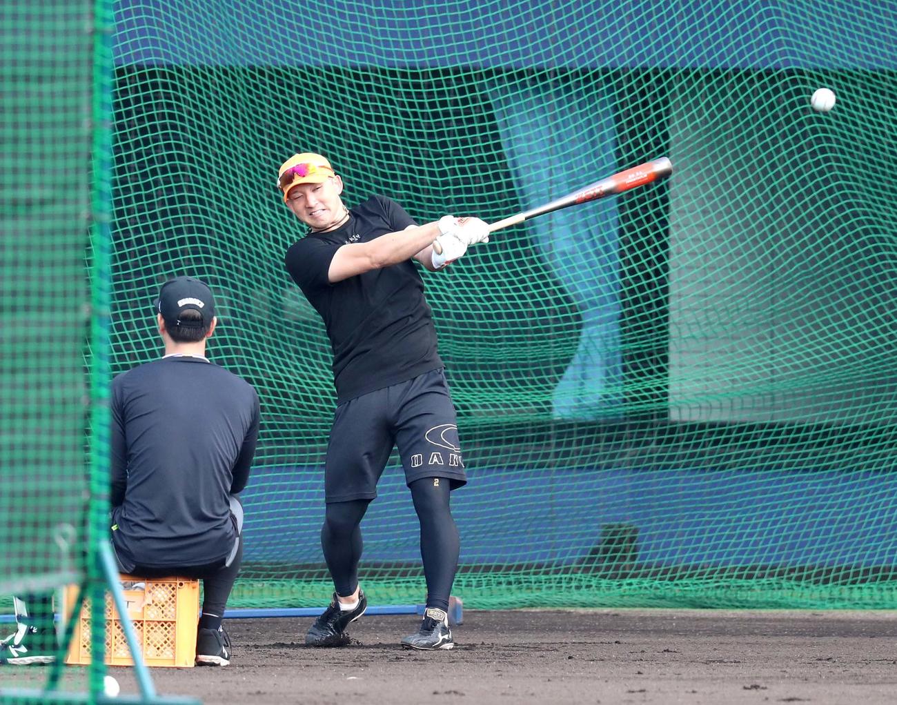 打撃練習をする日本ハム杉谷（撮影・佐藤翔太）