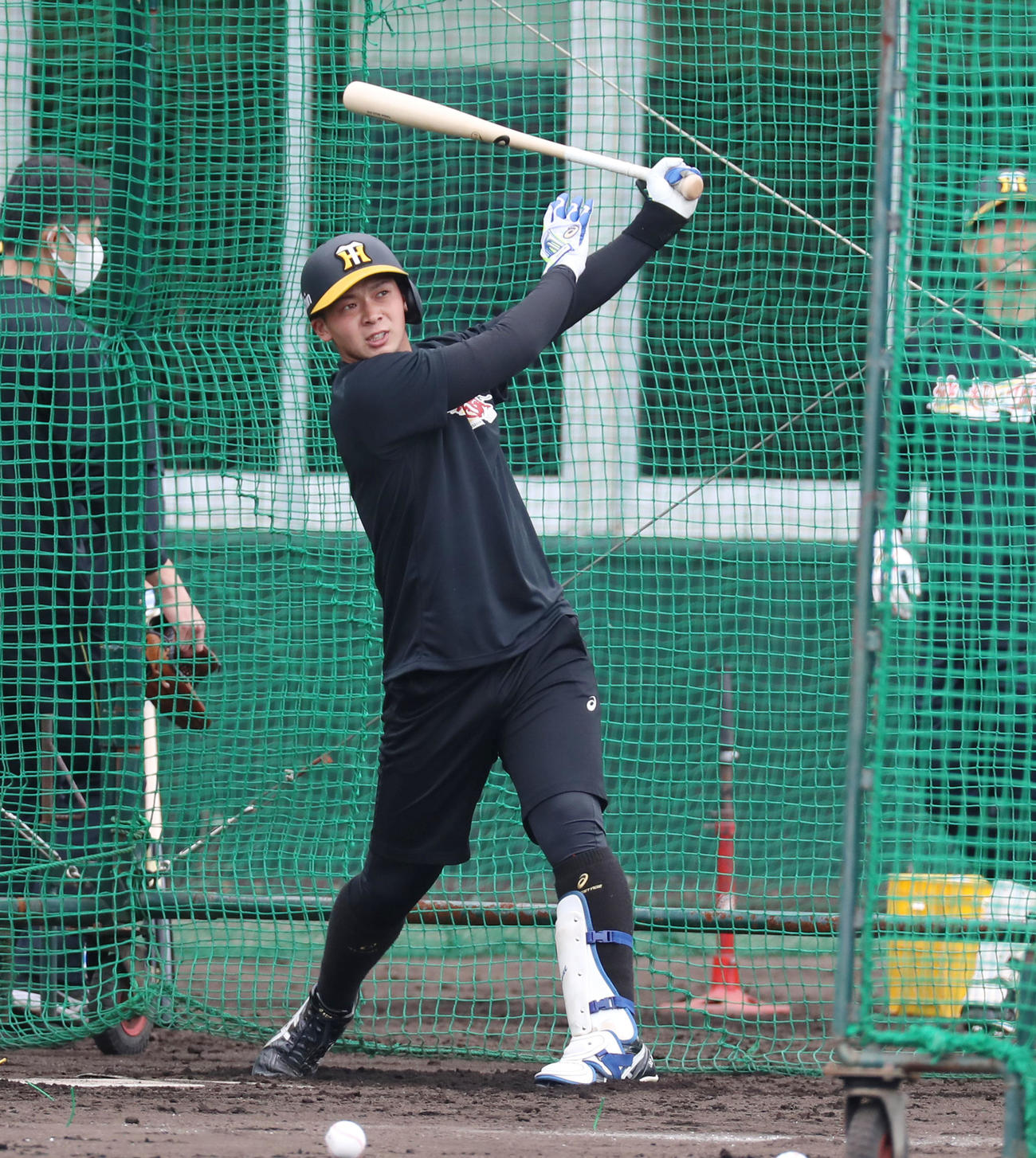 フリー打撃練習を行う井上（撮影・加藤哉）