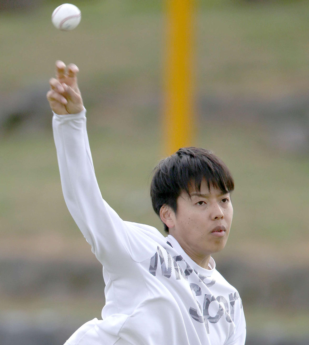 キャッチボールをする日本ハム杉浦（撮影・佐藤翔太）