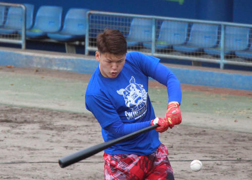 ティー打撃を行う中日石川昂