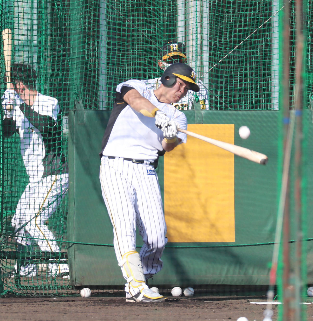 矢野燿大監督の前で打撃練習を行う佐藤輝明（撮影・加藤哉）