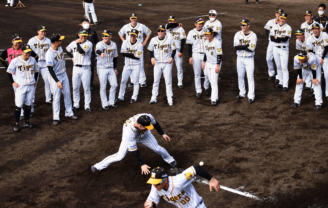 明るい笑顔を見せながらトレーニングに励む阪神ナイン（撮影・上田博志）