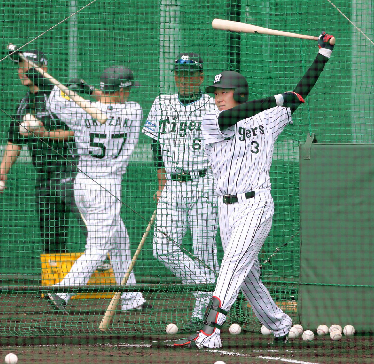金本監督（中央）の前でフリー打撃を行った大山（2017年2月1日撮影）