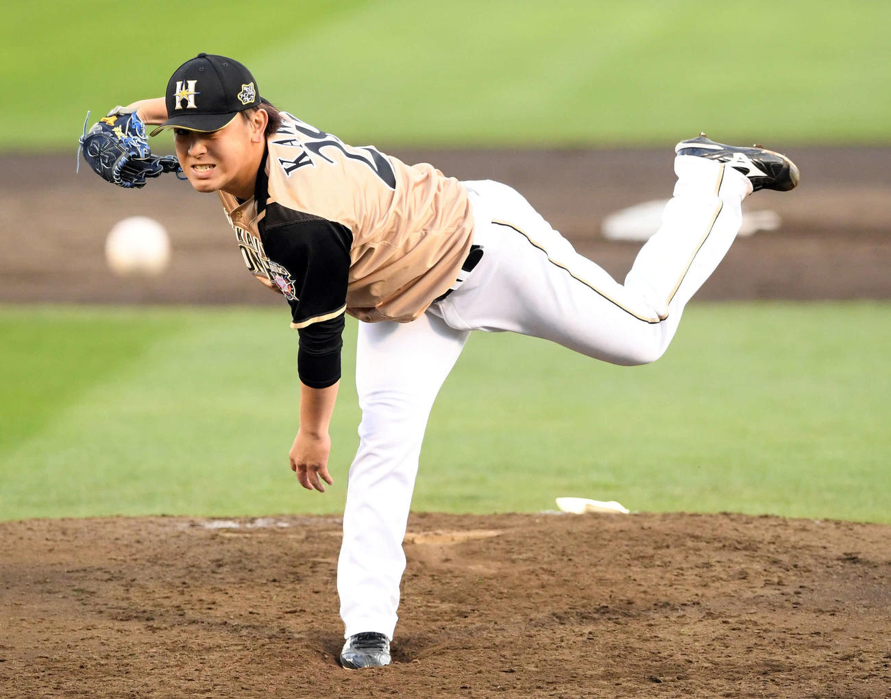 日本ハム河野竜生（2020年10月24日撮影）