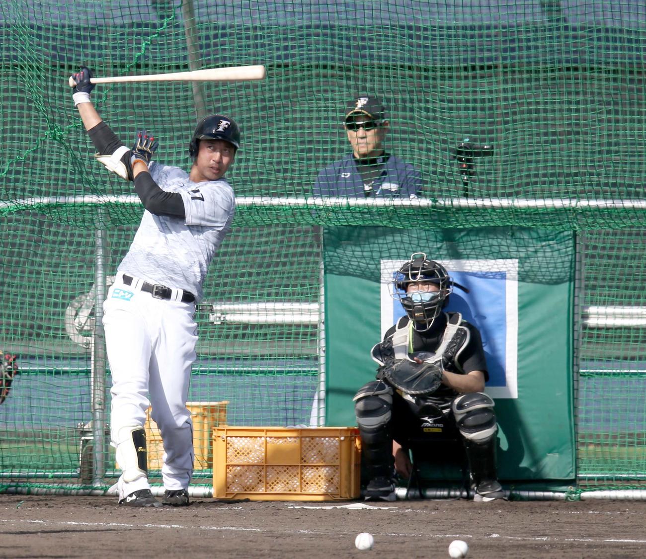 打撃練習をする日本ハムドラフト3位の古川。右奥は見つめる栗山監督（撮影・佐藤翔太）