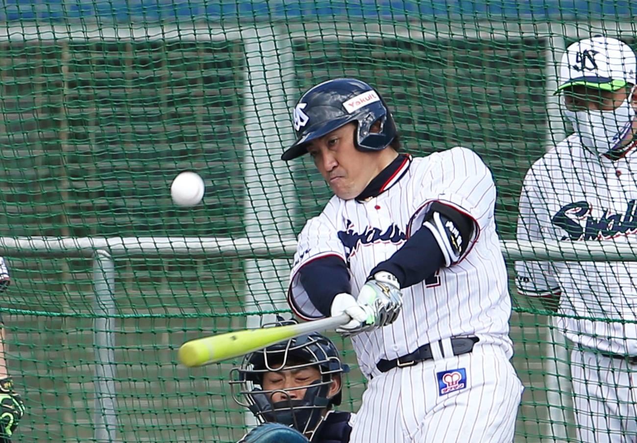 打撃練習するヤクルト内川（撮影・河田真司）
