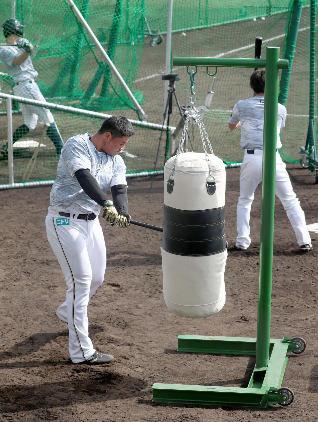 サンドバッグを打つ日本ハム清宮（撮影・佐藤翔太）