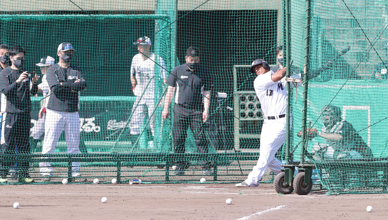ロッテ松中臨時コーチ（左）が見つめる前でフリー打撃を行うサントス（撮影・垰建太）