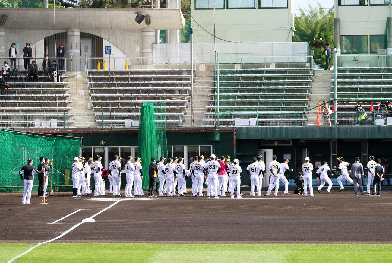 無観客キャンプで練習する阪神ナイン（撮影・加藤哉）