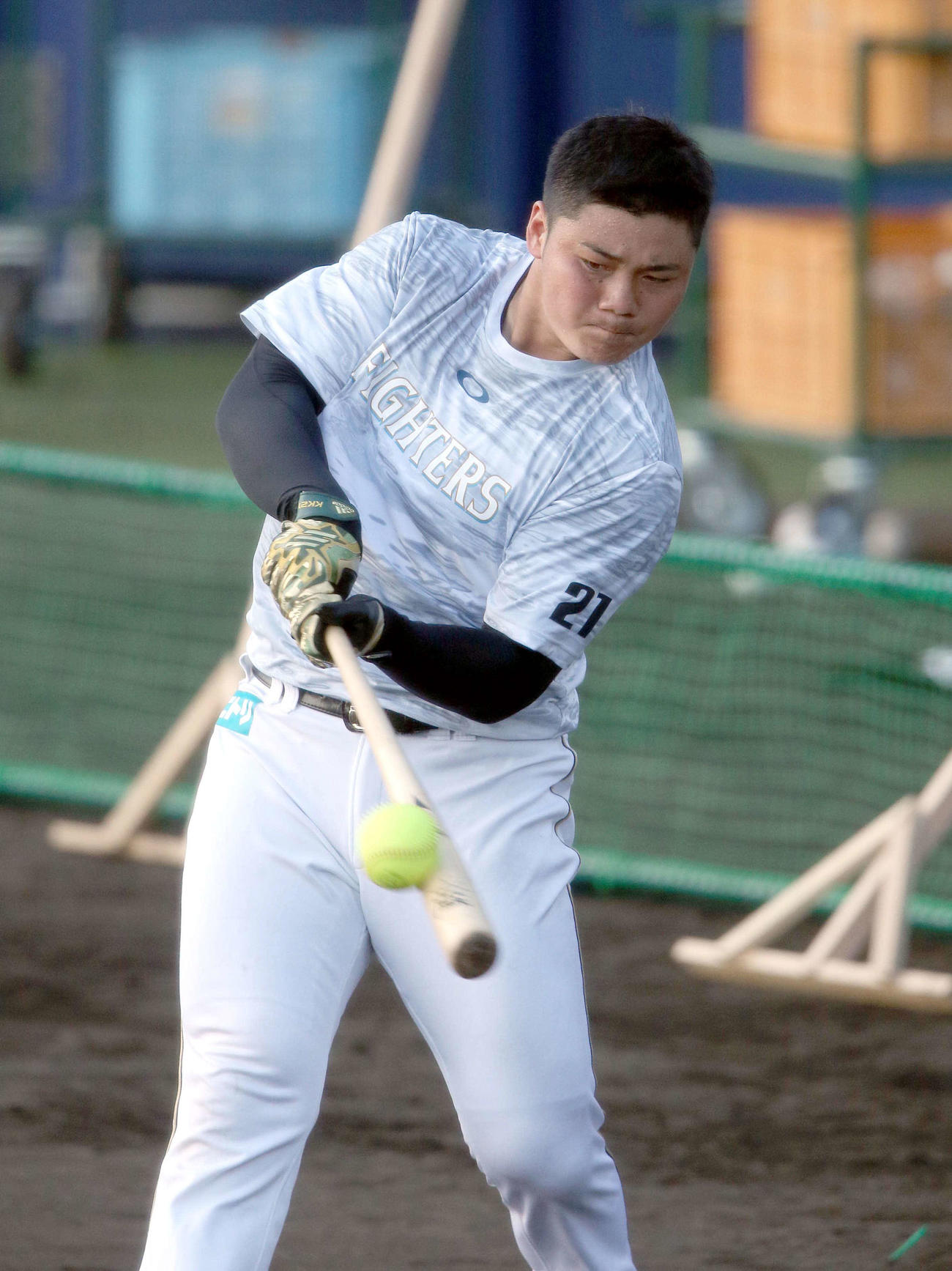 打撃練習をする日本ハム清宮（撮影・佐藤翔太）