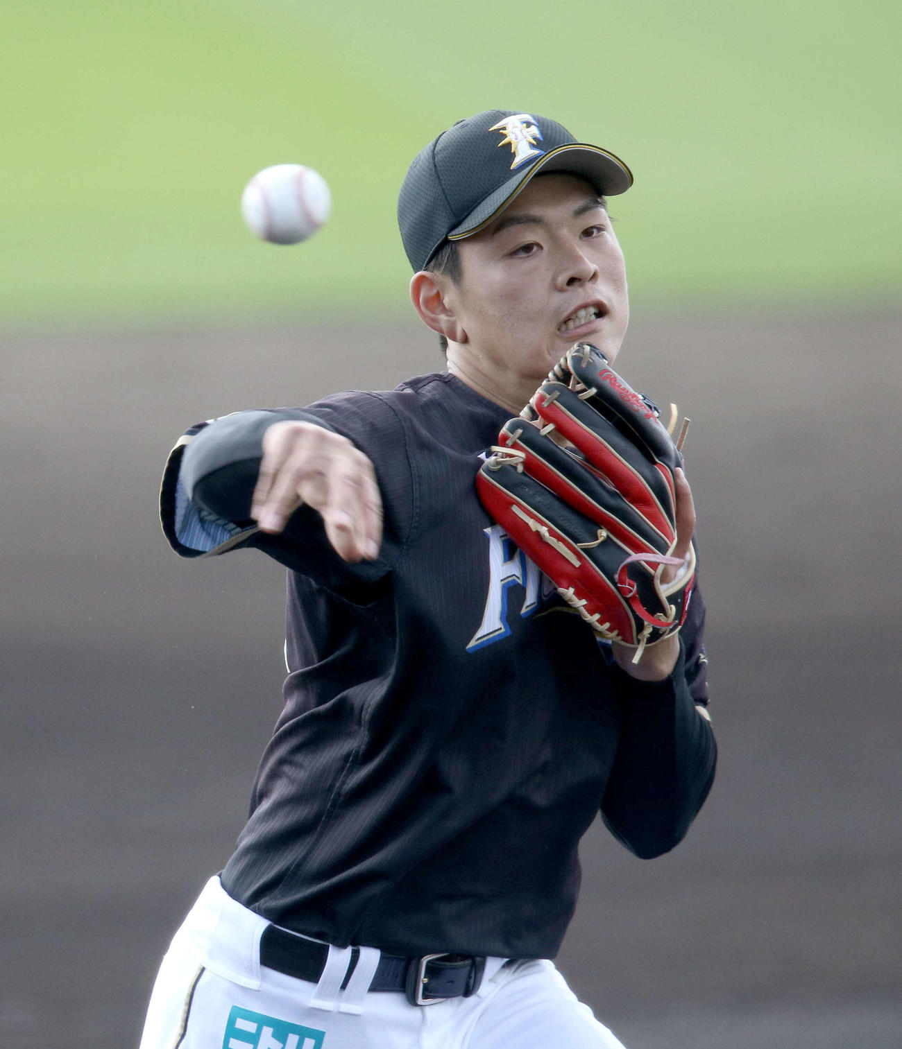 守備練習をする日本ハム野村（撮影・佐藤翔太）