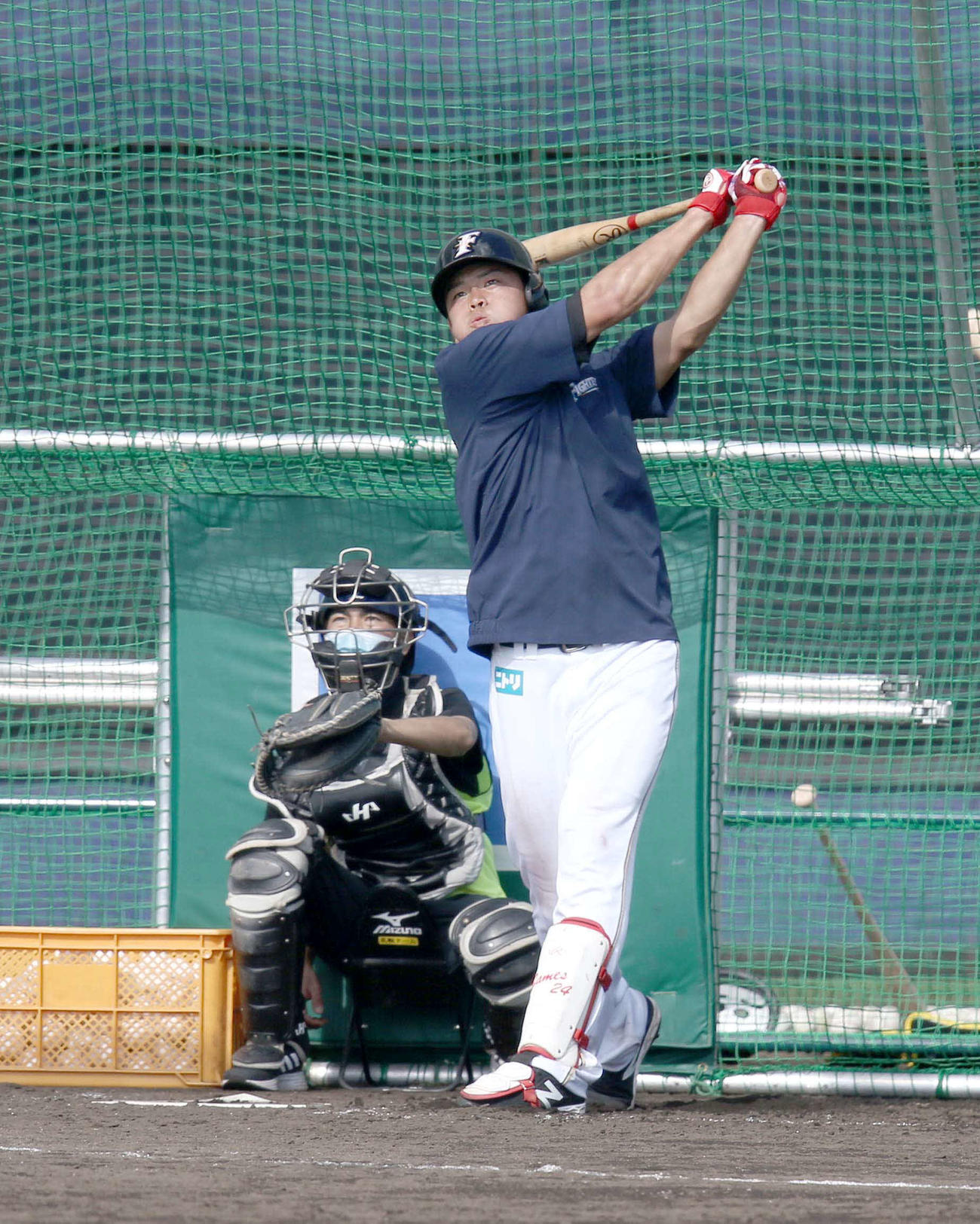打撃練習をする日本ハム野村（撮影・佐藤翔太）