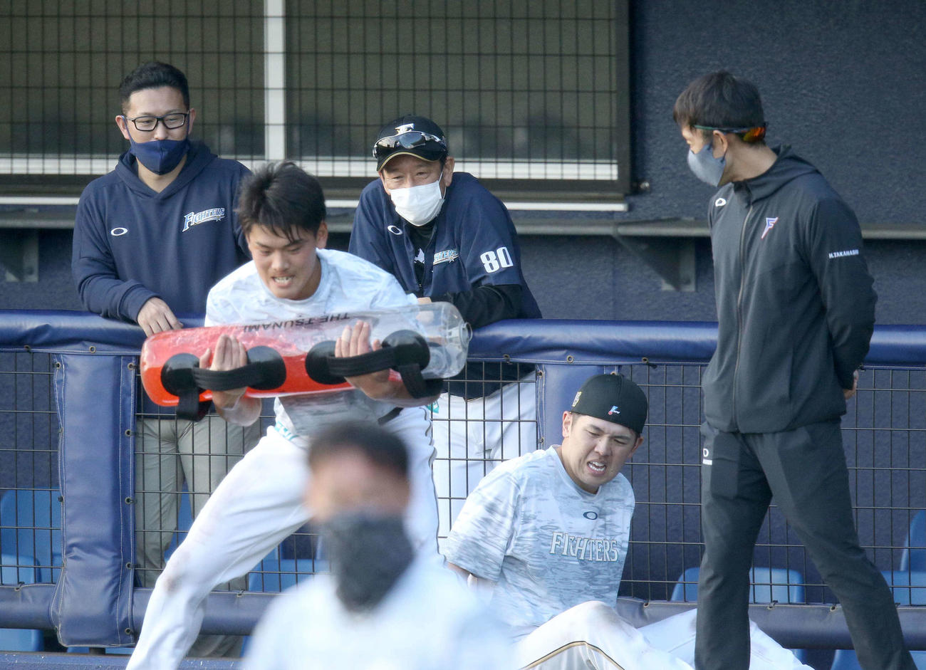 体幹トレーニングをする日本ハム野村を見つめる栗山監督（中央奥）（撮影・佐藤翔太）