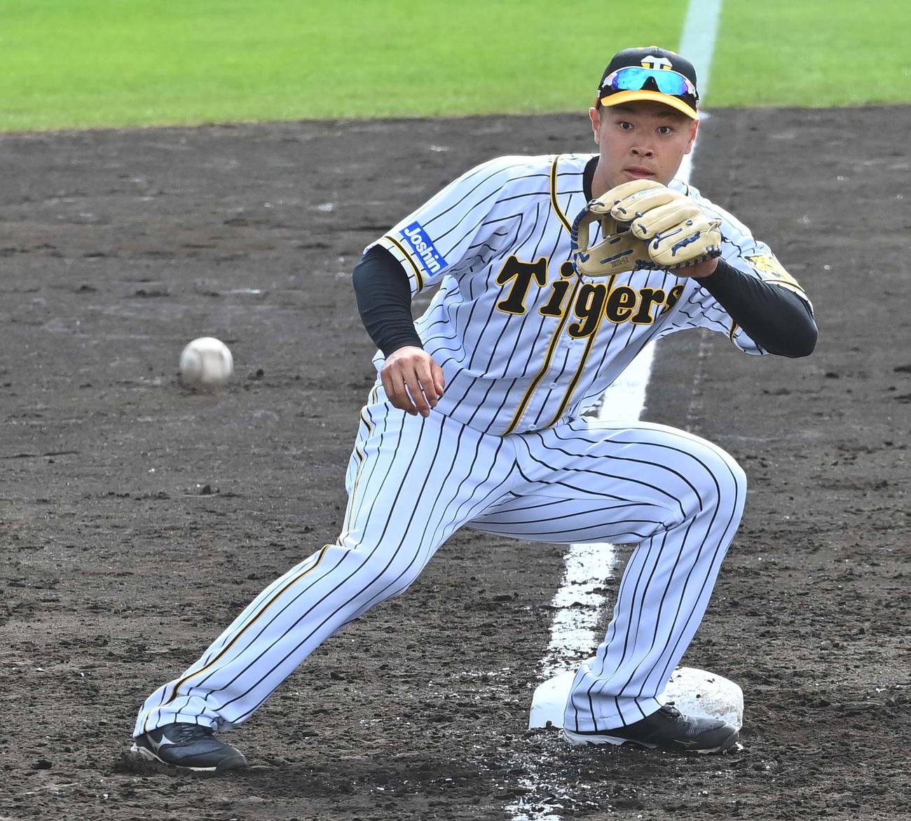 シートノックで三塁を守る佐藤輝（撮影・上田博志）