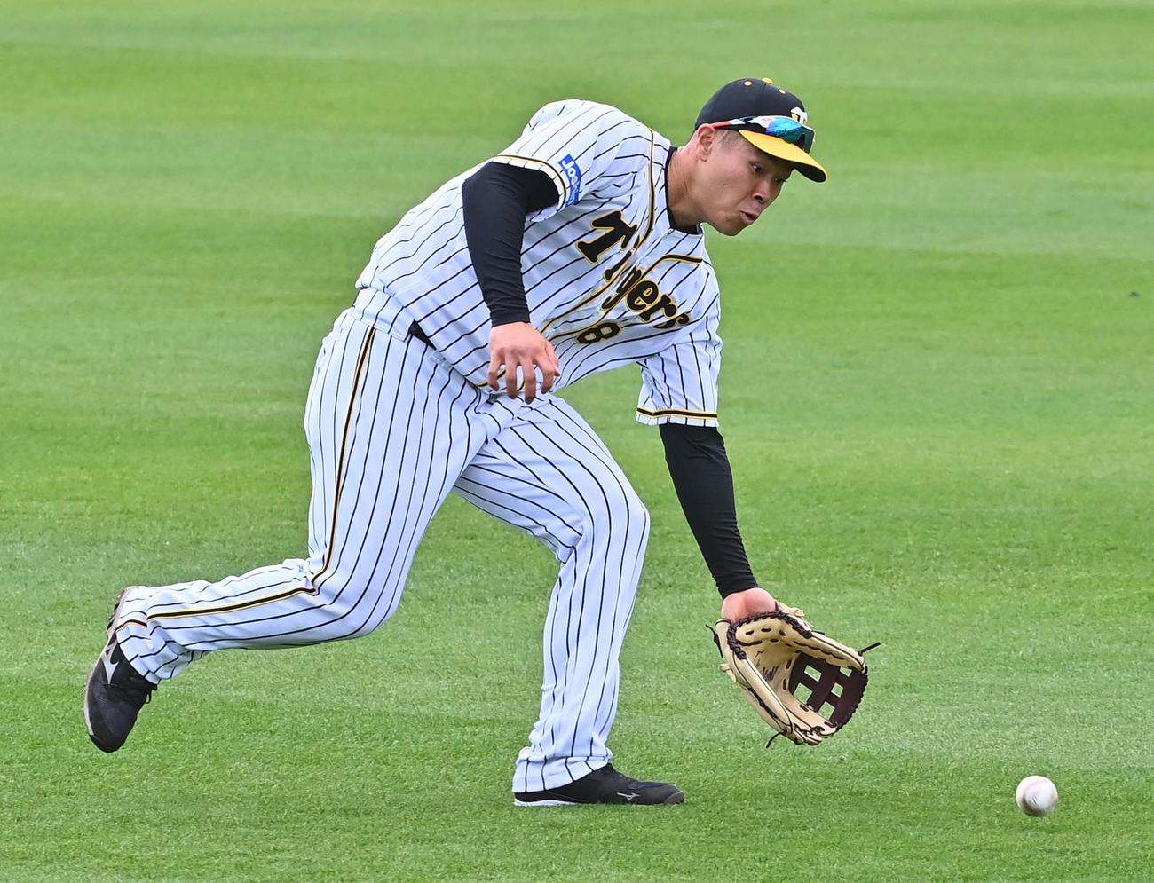 シートノックで左翼を守る佐藤輝（撮影・上田博志）