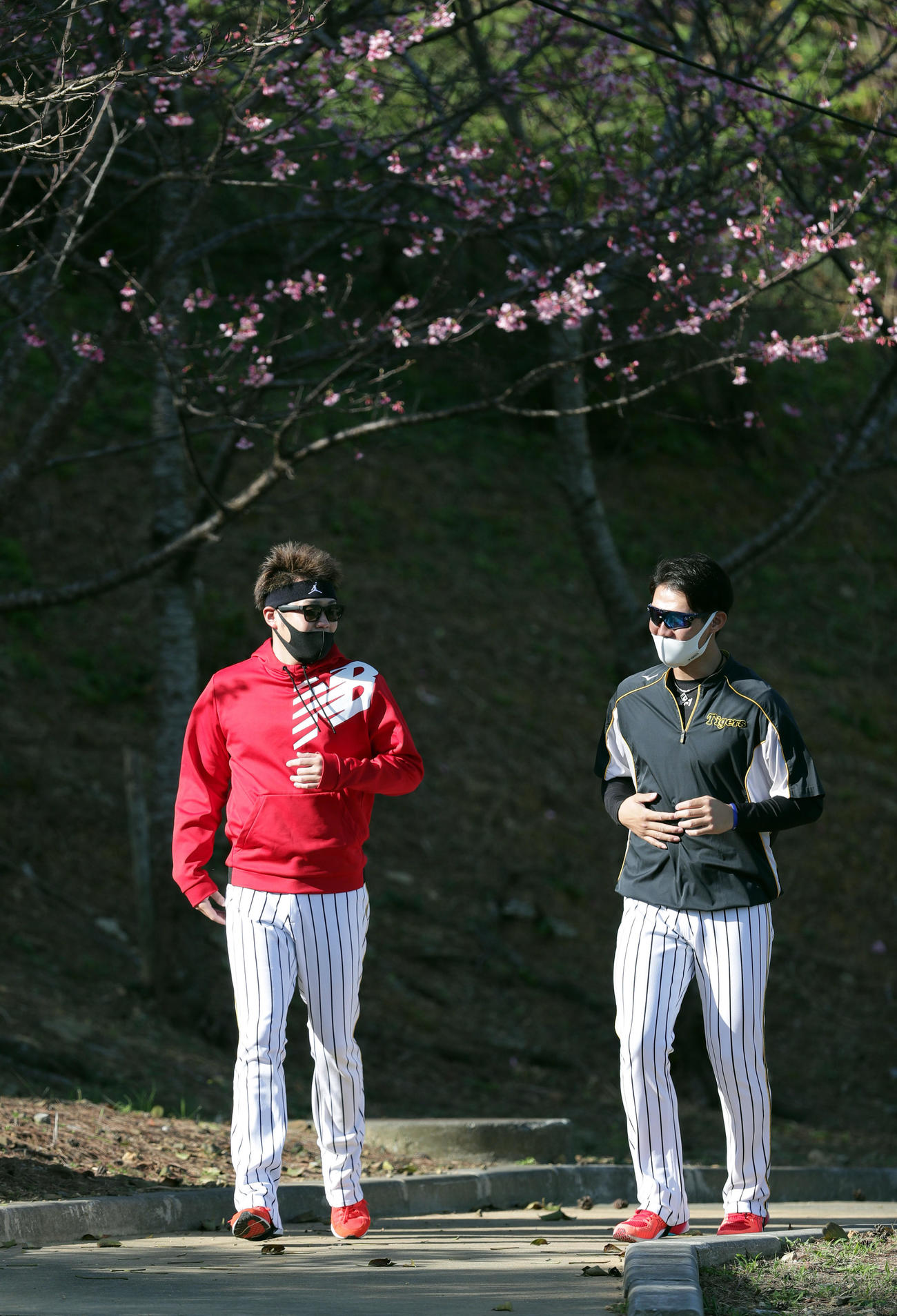 練習前、外野スタンドをランニングする阪神西勇輝（左）と西純矢（撮影・前田充）