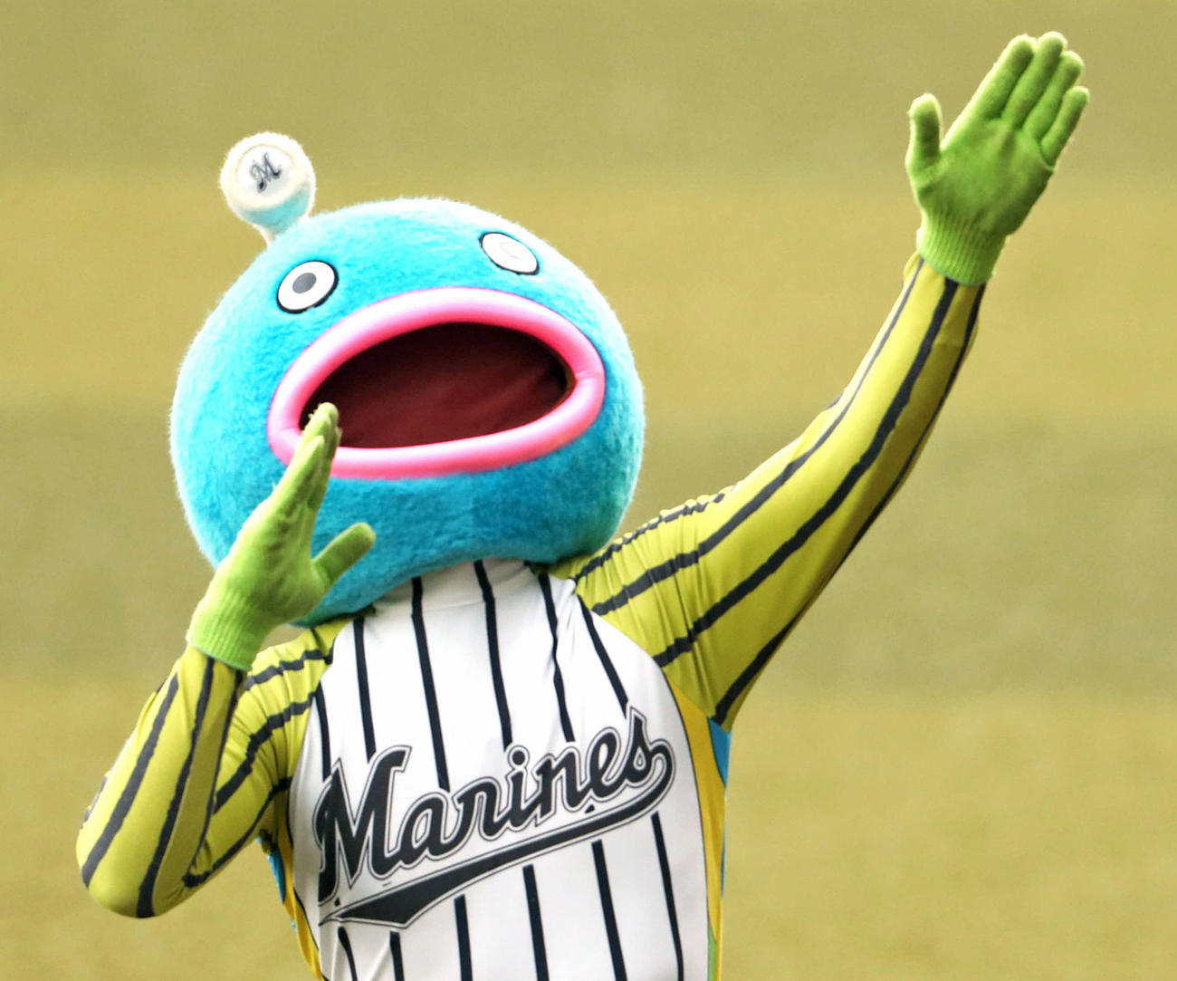 20年11月、ダンスをする謎の魚