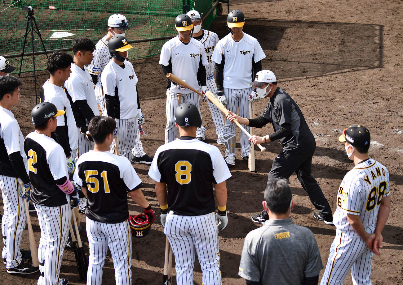 バットを手に選手にバント指導をする川相臨時コーチ。右下は矢野監督（撮影・上田博志）