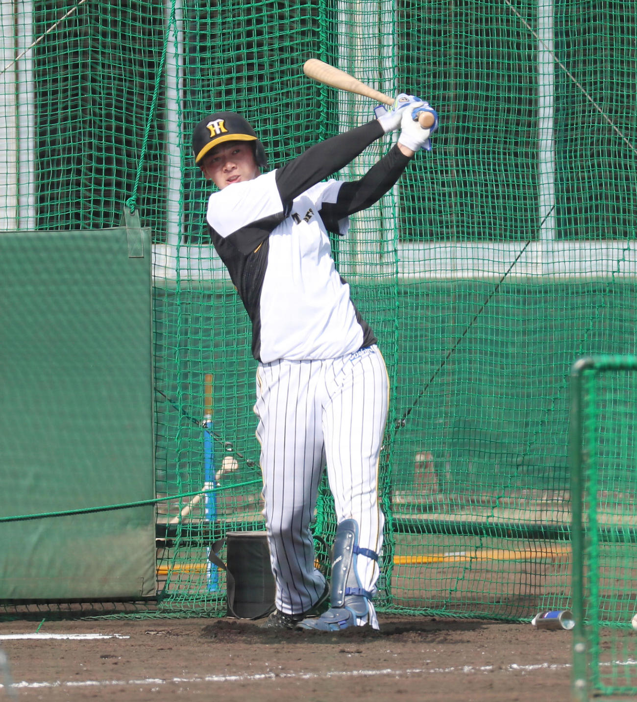 フリー打撃練習を行う井上（撮影・加藤哉）
