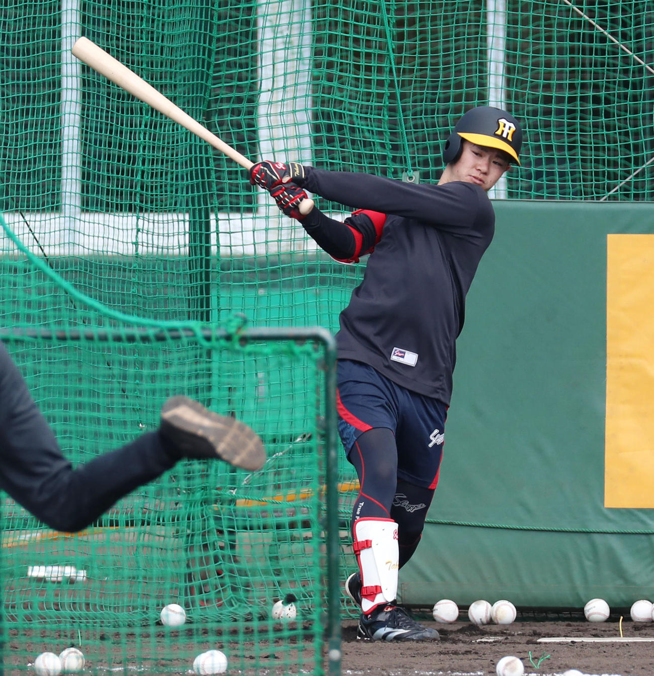 阪神中野拓夢（2021年1月30日撮影）