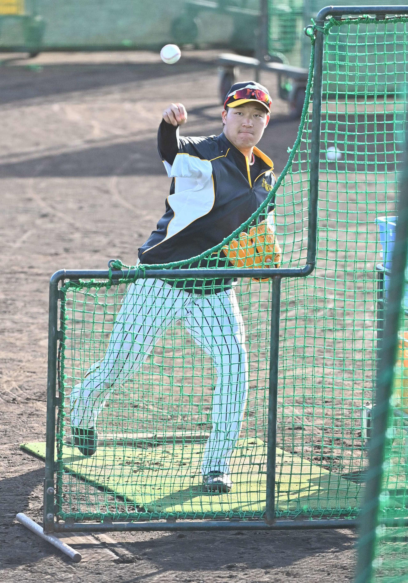 フリー打撃練習の打撃投手をつとめる大山悠輔（撮影・上田博志）