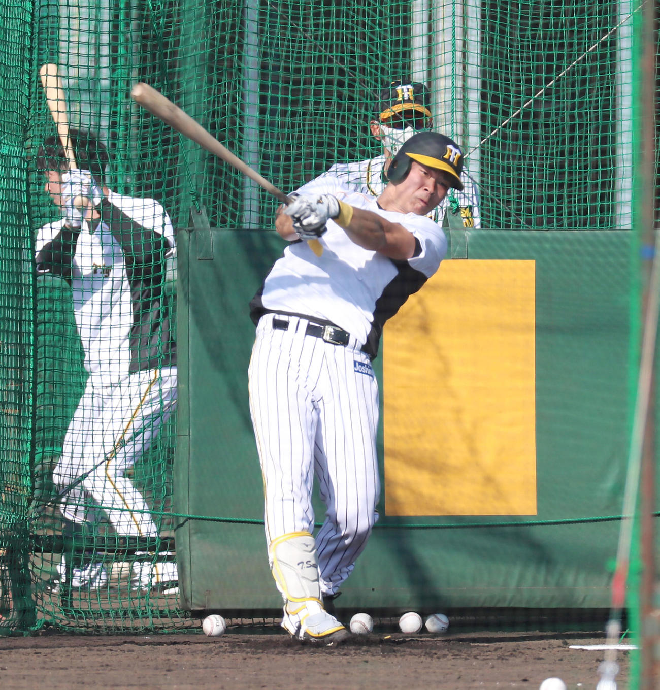 矢野監督の前で打撃練習を行う佐藤輝（撮影・加藤哉）