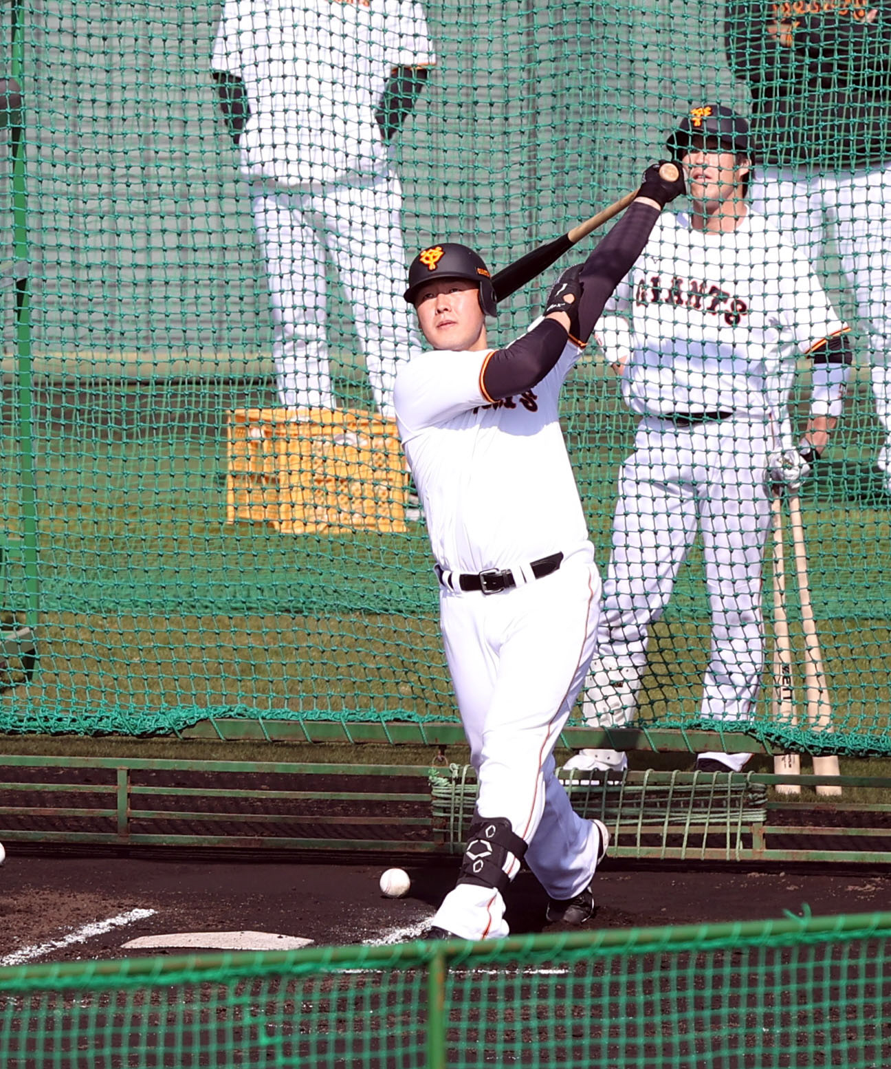 フリー打撃で快音を鳴らす岡本和（撮影・狩俣裕三）