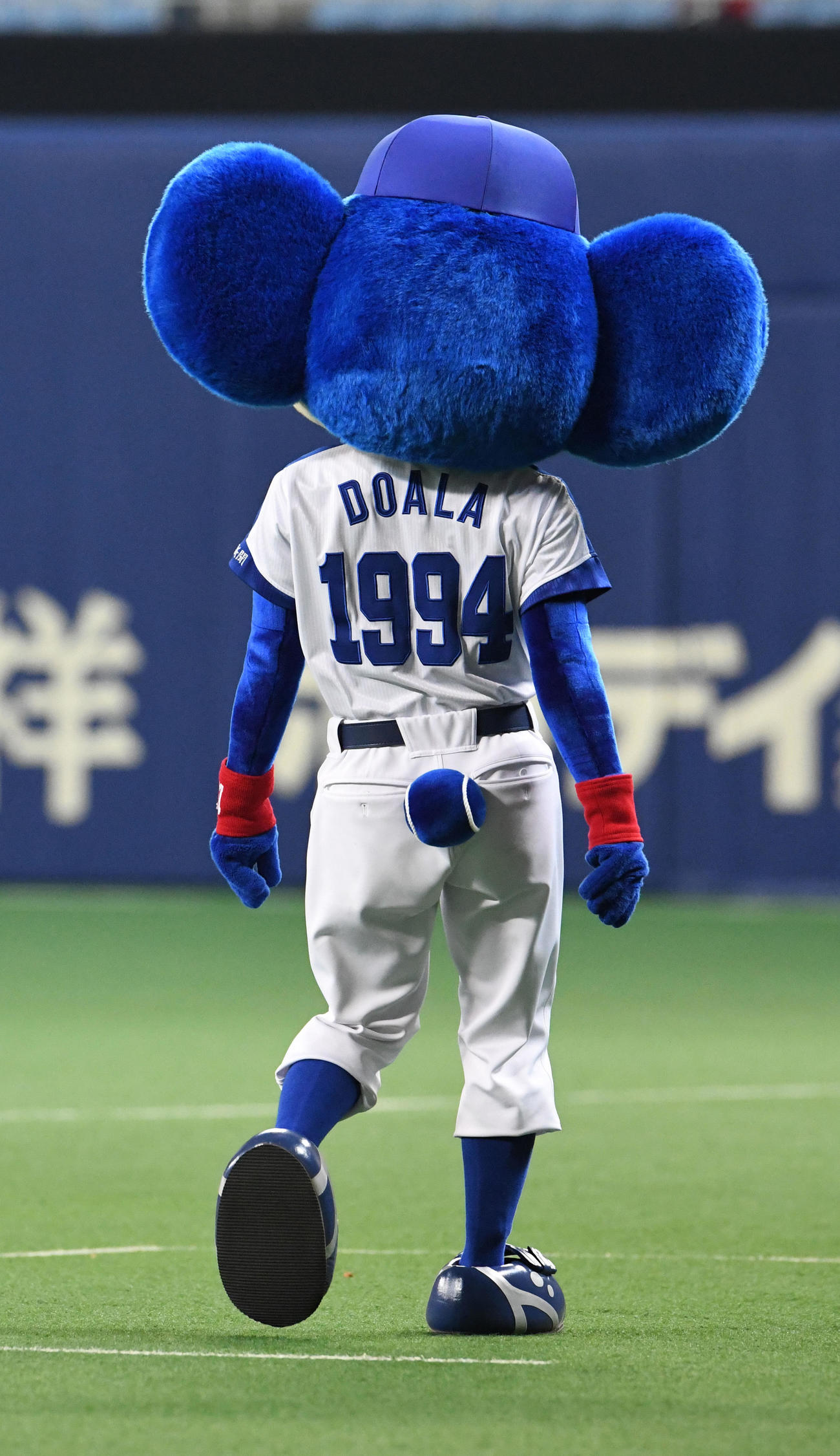 ドアラ（2017年4月5日撮影）